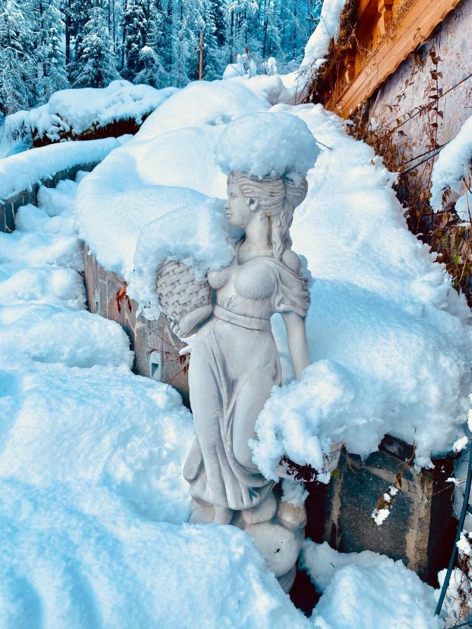 Apartment Villa Sonnegg フルプメス エクステリア 写真